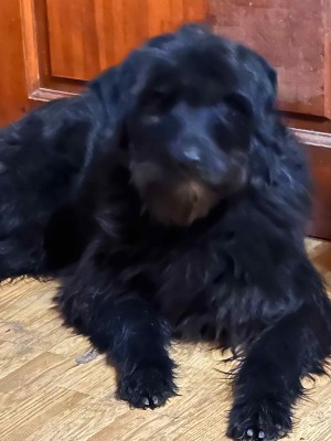 dnvOYPMFzudgktTZoEHbfquexx5xhCnB_dFcRlT-QQ0kuPUrPUIzl7UWjlfXnp4Z_CuaJAX8CtSSy2735Erc6bvZ (1).jpg