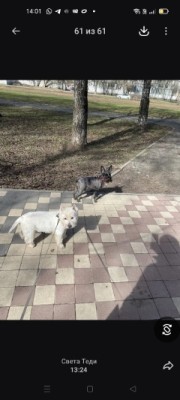 Со своим другом!
