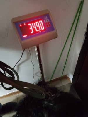 19eR9790aLEQhnvsylvOXkIi00ZPEkCzvxpsQfJCJJ-x7nLXKLS4GNCSDN737UVrSNIR2UV_XB64sQc9wLoqeqs5.jpg