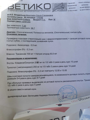 IMG20260511153820.jpg