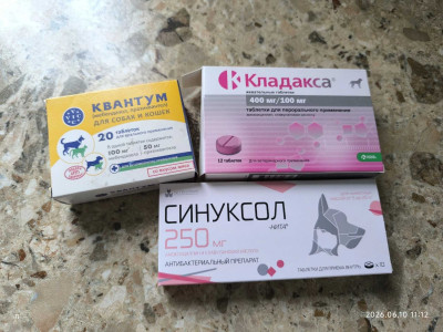 1LTGKTLOS_0ZvEm7RlBVy1jllcDFmKWQI1i__lZRB1lUxbUFsPdGA3GsPXaJyPURZiPNTzxEqXtxHb96CeejU2Wg.jpg