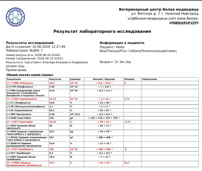оак.jpg