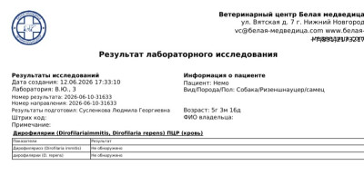 Screenshot_4.jpg