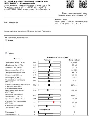 Screenshot_1.jpg