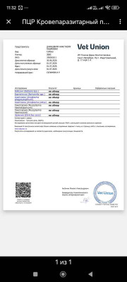 Screenshot_2026-07-02-11-32-39-888_ru.yandex.mail.jpg