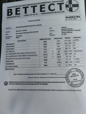 Zry480fLwu1Sk2D91FEICu35oDL3pU00xWgiVDlNqJt8yZuxCCiszerJy3j_vVx-UJY_WW_AyFTEjsVHoQh_rM5E.jpg