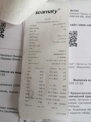 LUT3aB-7dBMpUJYKGgSSJJThzyF7rMOPzg4eDulJIxtgNUO7LWi8FZJMQS8_9Aq54TAkmLdHfpMstpEPXq6Ex1YK.jpg