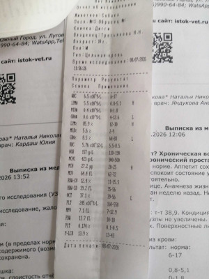 Ta1P5pOY3CI84lPwyY1_f_AUeiagowz4foJzKEyG-zG6ce-erSbRmfJ8DvL92std_Fxe253-uBw7VSW9z7TGzLh-.jpg