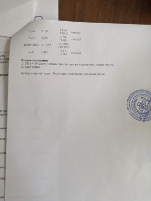 jo2iUXD-88c8459DfMOC_4GpP_1sVckJ1irR8kozZ6DqdaH2ITKqB6YhwLqWvPult2a46NvBCaeBvfXHSGZhZNCl.jpg