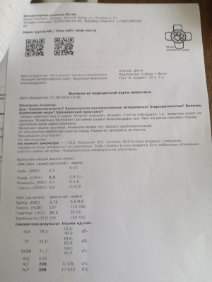 s9BrGQ-lXJ5vLkwX12_HEdvUfREnUbBCPj6InLwm6yTWVtX0NrL8KI07NRoKYdoSs1wHOdqSxKZNBpkp6lXf9dvd.jpg