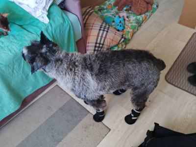 Puma_RxTUVz1thjfv7wQPH6iTVggZPJs3o7yTPeJ6qtOpIjhTuDvlNDBPFnVof0Hv8fe1LhPXhe3Bw57tuULbjx7uOEurpC3flw-1.jpg