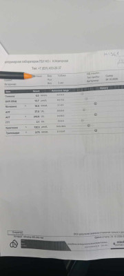 IMG_20261024_135839.jpg