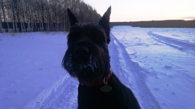 WP_20130312_001.jpg