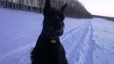 WP_20130312_003.jpg