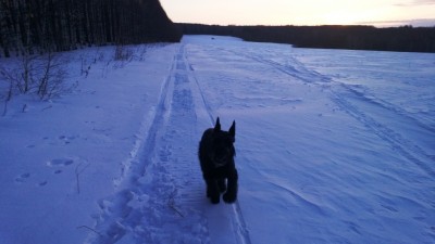 WP_20130312_005.jpg