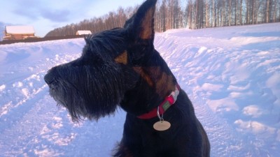 WP_20130312_023.jpg