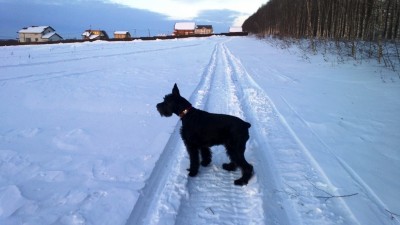 WP_20130312_015.jpg