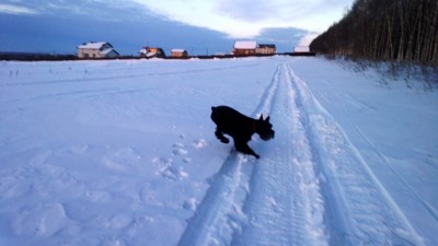 WP_20130312_016.jpg