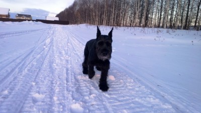 WP_20130312_019.jpg