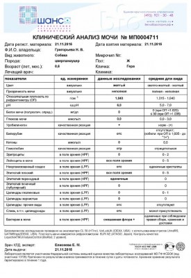 1КлиническийАнализМочи_Григорьева.JPG