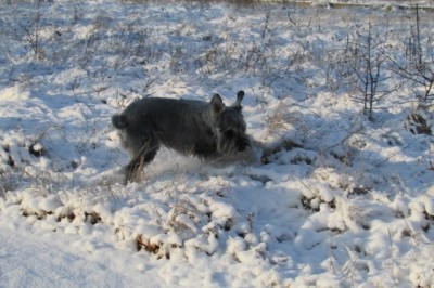 IMG_0328copy.jpg