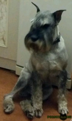 OX06XkmokjQ-1200x2005.jpg