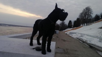 WP_20130416_007.jpg