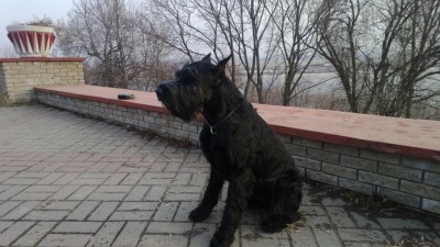 WP_20130416_016.jpg