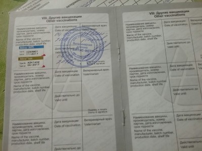 image-409033175da2dd266efa3e6ec294ac0cdb8198364e49b7057a18d168e54e850c-V.jpg