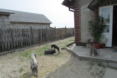 IMG_0904copy.jpg