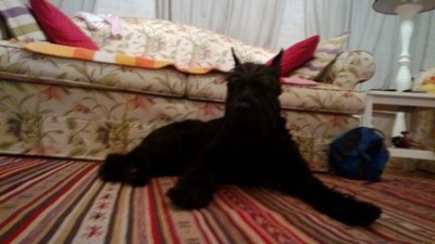 WP_20121206_006.jpg