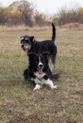 IMG_0879.jpg