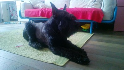 WP_20130618_005.jpg
