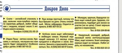 Безымянный.JPG