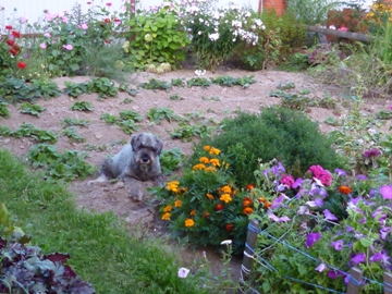 P1000230.JPG