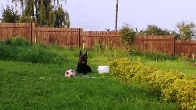 WP_20130810_001.jpg