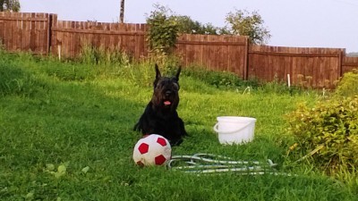 WP_20130810_002.jpg
