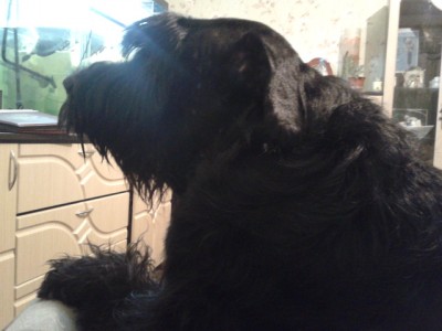 20121018_184155.jpg