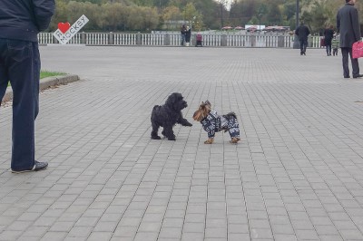 встречаем друзей!