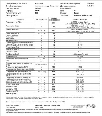 общий.jpg (200.12 КБ) 6432 просмотра общий анализ крови