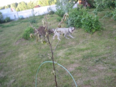 IMG_7469.JPG