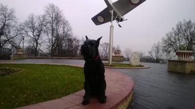 WP_20131103_011.jpg
