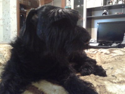20121018_184452.jpg