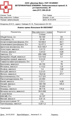 КБ.jpg