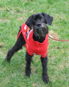 Валентинка