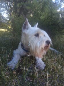 БРАЙТ (Дон Деларо Бетани Редвик)