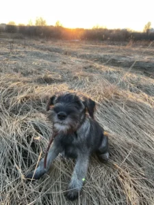 Тюбик
