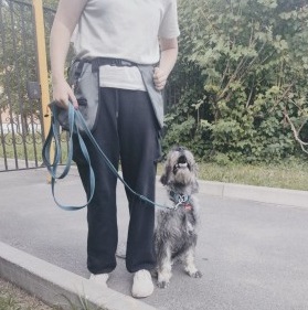 Сильвия